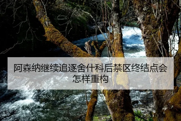 阿森纳继续追逐舍什科后禁区终结点会怎样重构