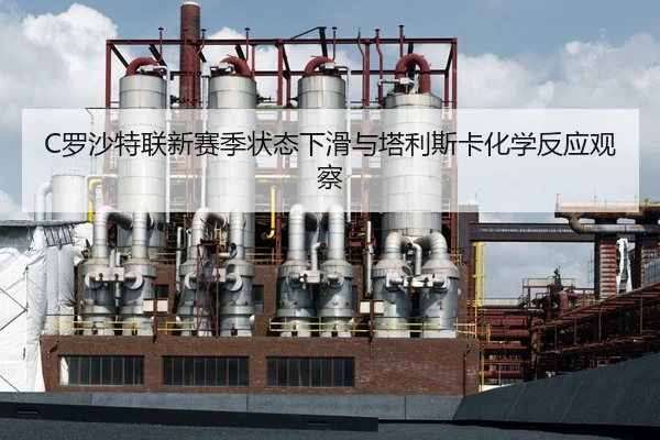 luo-sha-te-lian-xin-sai-ji-zhuang-tai-xia-hua-yu-ta-li-si-ka-hua-xue-fan-ying-guan-cha-3-300.jpg