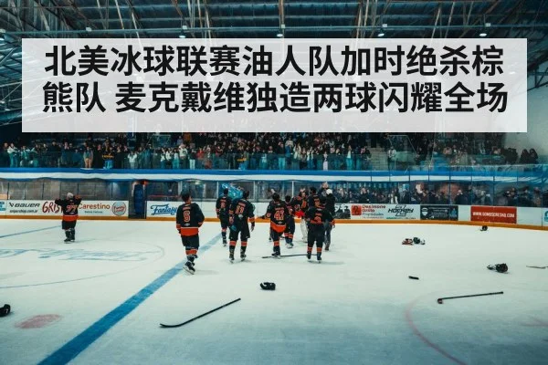 ice hockey arena crowd