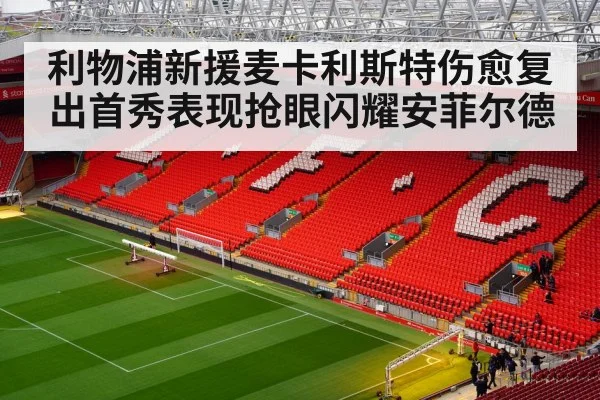 利物浦新援麦卡利斯特伤愈复出首秀表现抢眼闪耀安菲尔德