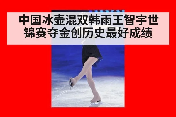 中国冰壶混双韩雨王智宇世锦赛夺金创历史最好成绩