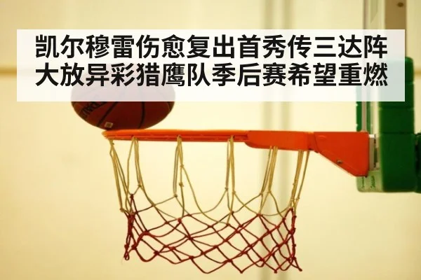 凯尔穆雷伤愈复出首秀传三达阵大放异彩猎鹰队季后赛希望重燃